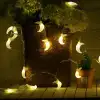 20L moon light string, 4-meter LED light string, star and moon light, full sky star, festival five-pointed star, curtain light, ins Internet celebrity girl heart, star Christmas colorful light details Picture